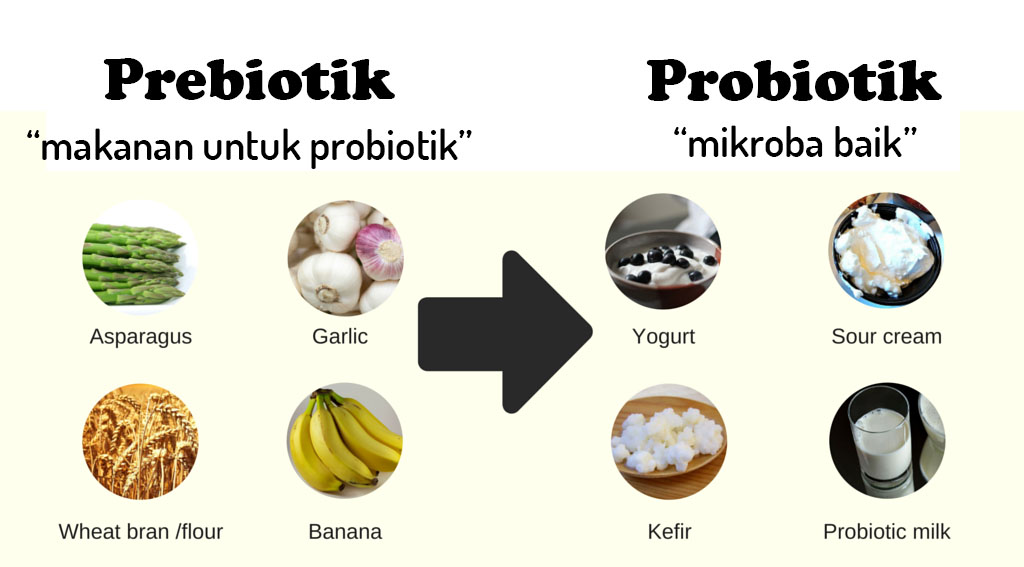 Detail Contoh Makanan Probiotik Nomer 4