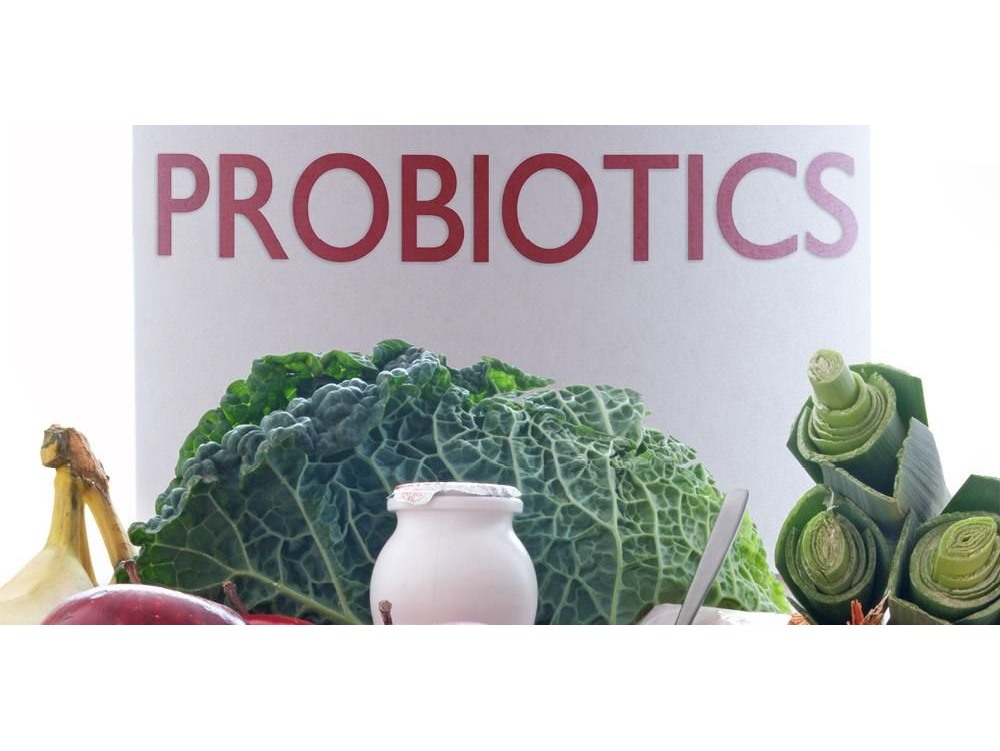 Detail Contoh Makanan Probiotik Nomer 56