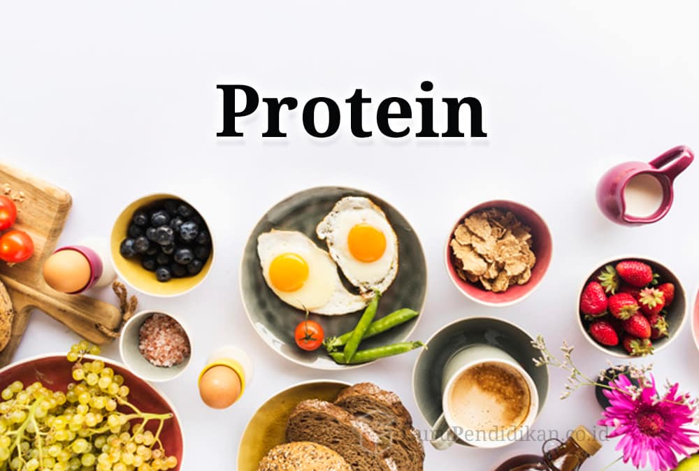 Detail Contoh Makanan Protein Nomer 33