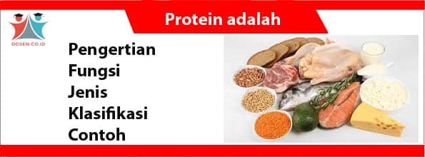Detail Contoh Makanan Protein Nomer 41