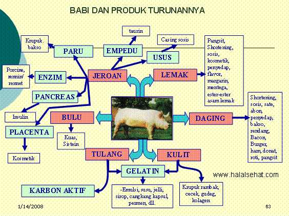 Detail Contoh Makanan Syubhat Nomer 24