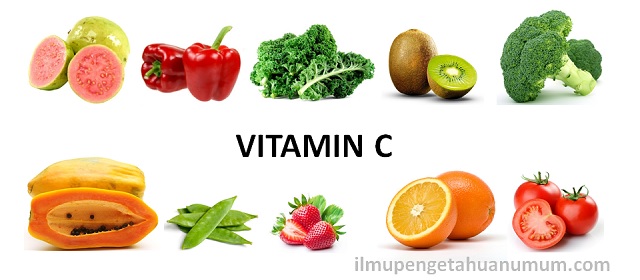 Detail Contoh Makanan Vitamin Nomer 18