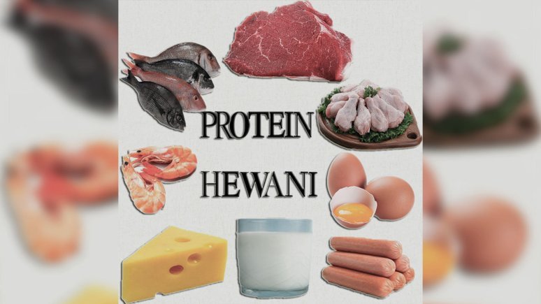 Detail Contoh Makanan Yang Mengandung Protein Nomer 24