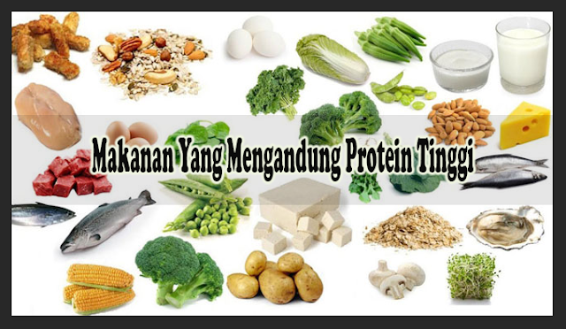 Detail Contoh Makanan Yang Mengandung Protein Nomer 34