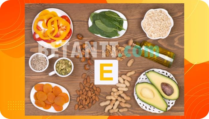 Detail Contoh Makanan Yang Mengandung Vitamin E Nomer 33