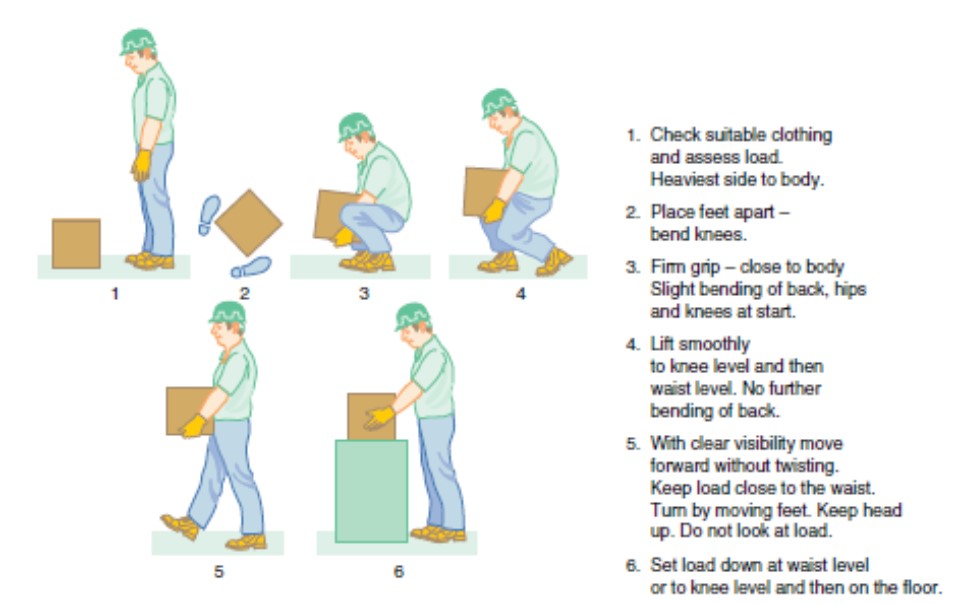 Detail Contoh Material Handling Nomer 56