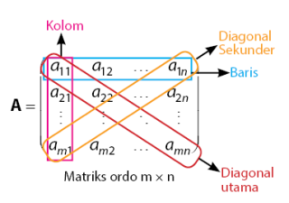 Detail Contoh Matriks Baris Nomer 33