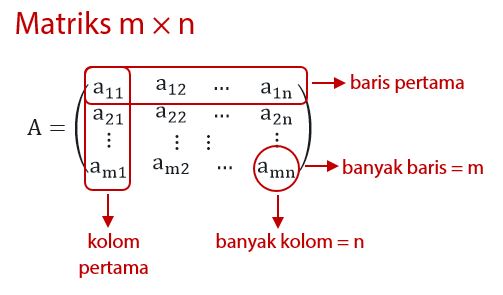 Detail Contoh Matriks Baris Nomer 40