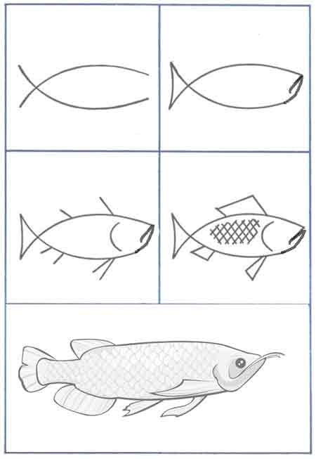 Detail Contoh Menggambar Ikan Nomer 11