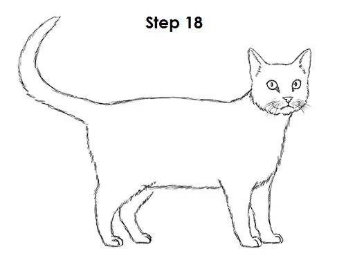 Detail Contoh Menggambar Kucing Nomer 42