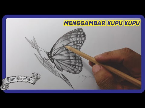 Detail Contoh Menggambar Kupu Kupu Nomer 46