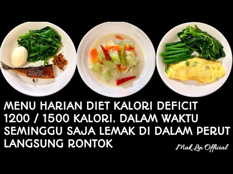 Contoh Menu 1500 Kalori Per Hari - KibrisPDR