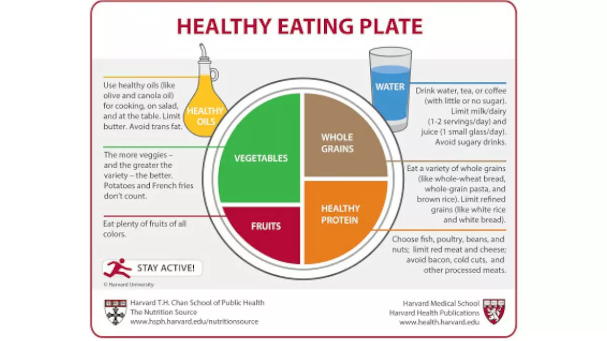 Detail Contoh Menu Diet Seminggu Nomer 41