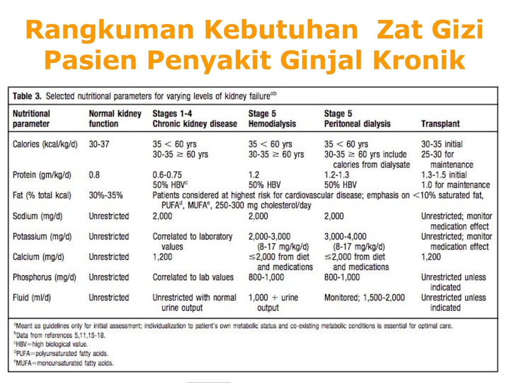 Detail Contoh Menu Sehari Penyakit Ginjal Nomer 7