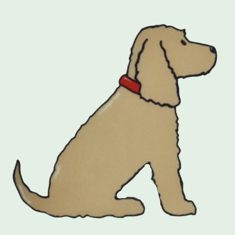 Detail Dunkler Labrador Nomer 22