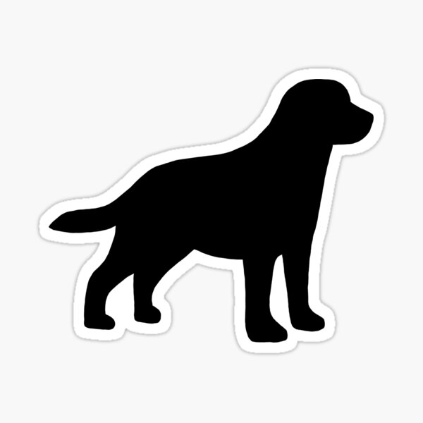 Detail Dunkler Labrador Nomer 3