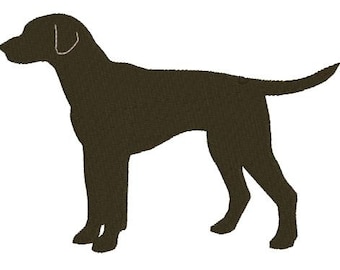 Detail Dunkler Labrador Nomer 6