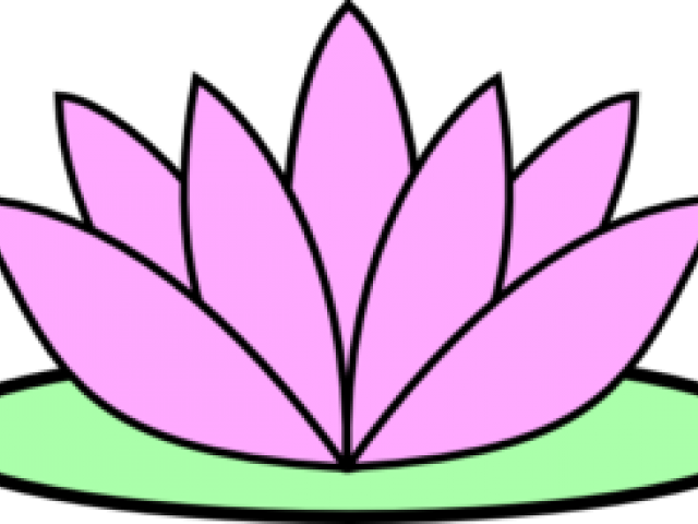 Detail Lotus Flower Drawing Nomer 11