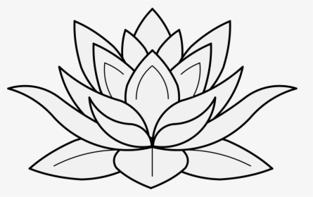 Detail Lotus Flower Drawing Nomer 15