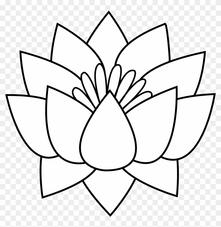 Detail Lotus Flower Drawing Nomer 18