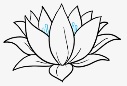 Detail Lotus Flower Drawing Nomer 24