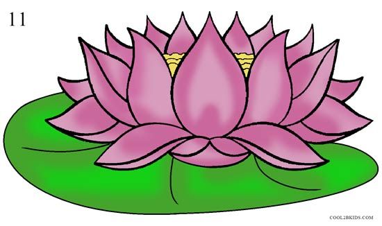 Detail Lotus Flower Drawing Nomer 9