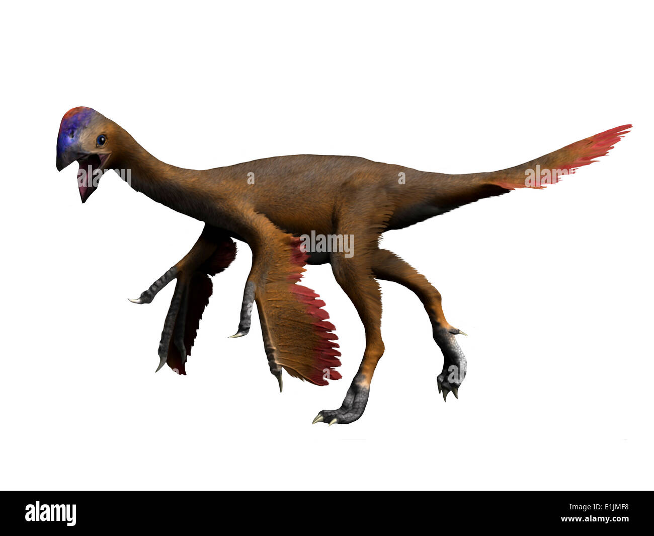 Detail Oviraptor Ark Nomer 16