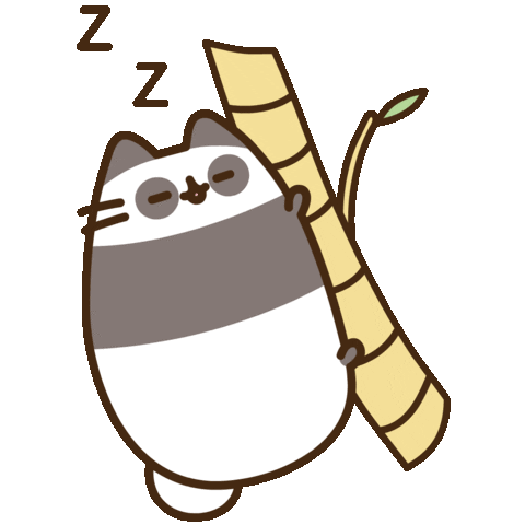 Panda Pusheen - KibrisPDR