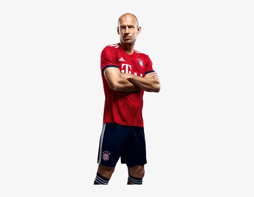 Detail Robben Bilder Nomer 2