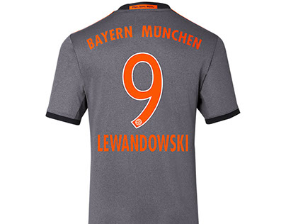 Detail Robben Bilder Nomer 20