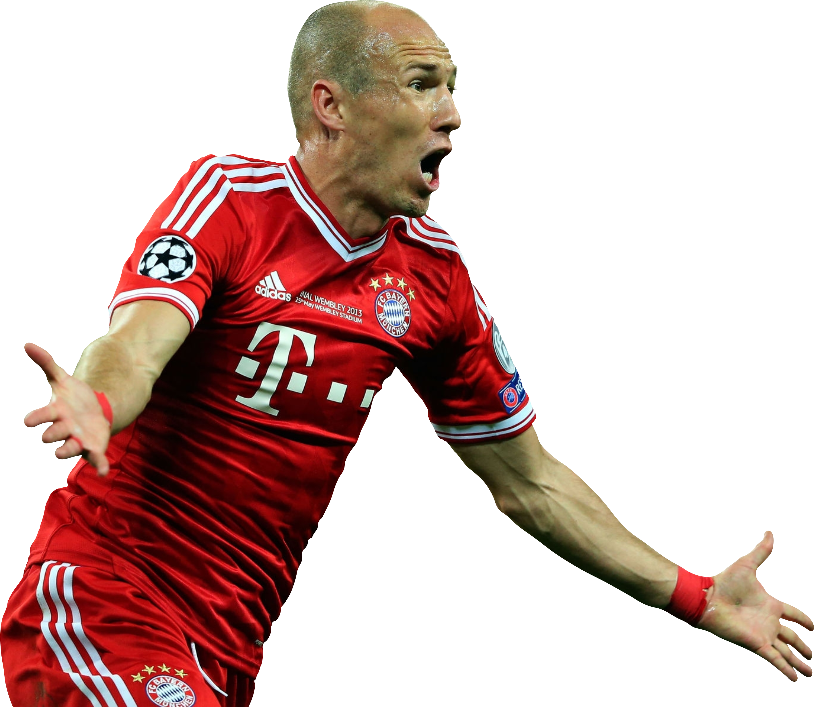 Detail Robben Bilder Nomer 3