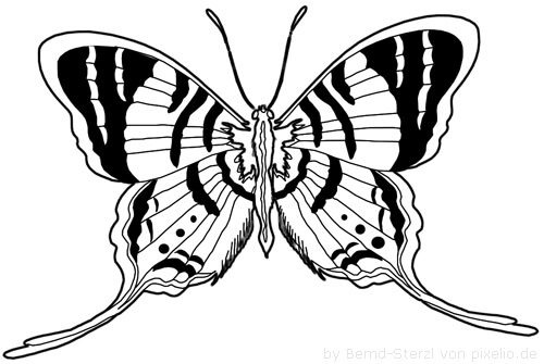 Detail Schmetterling Auf Blume Zeichnen Nomer 23
