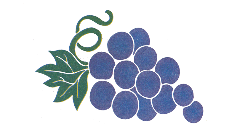 Detail Gambar Kartun Buah Anggur Nomer 52