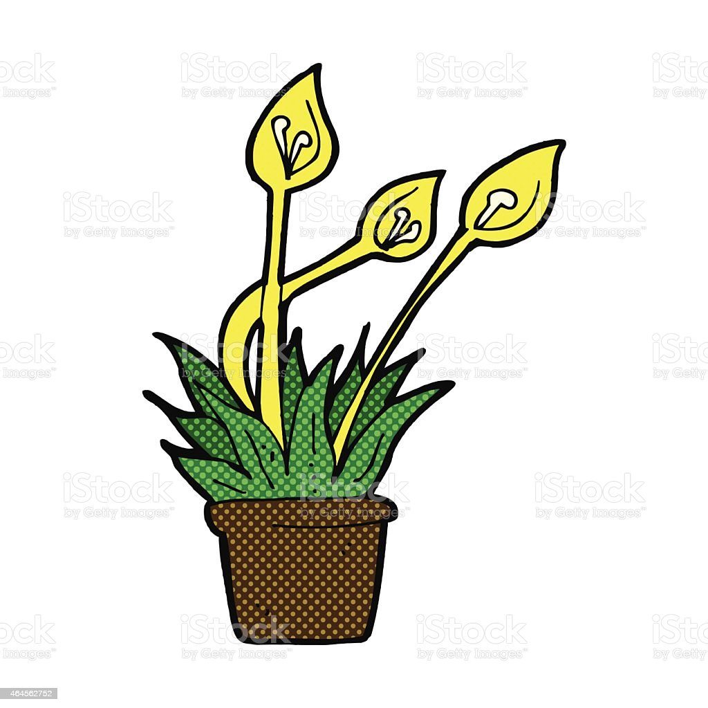Detail Gambar Kartun Bunga Anggrek Nomer 48