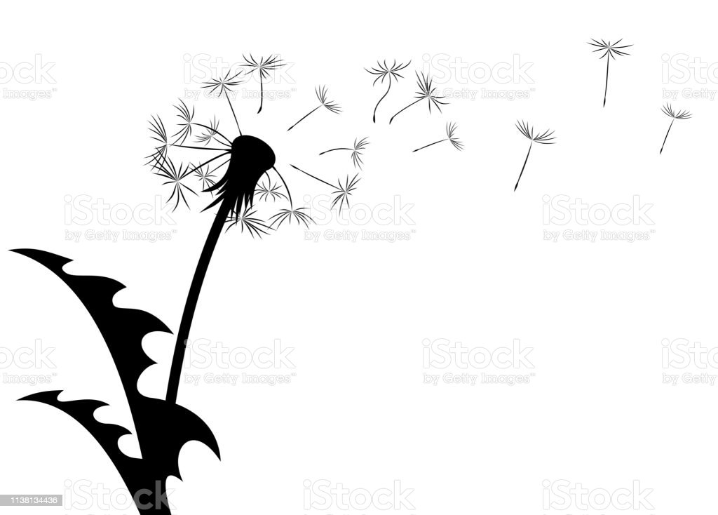 Detail Gambar Kartun Bunga Dandelion Nomer 44