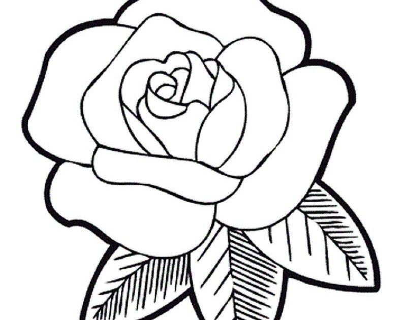 Detail Gambar Kartun Bunga Mawar Cantik Nomer 13