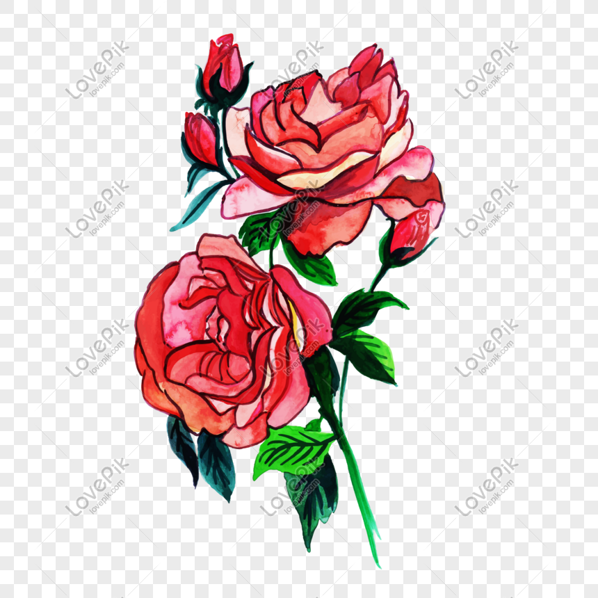 Detail Gambar Kartun Bunga Mawar Cantik Nomer 27