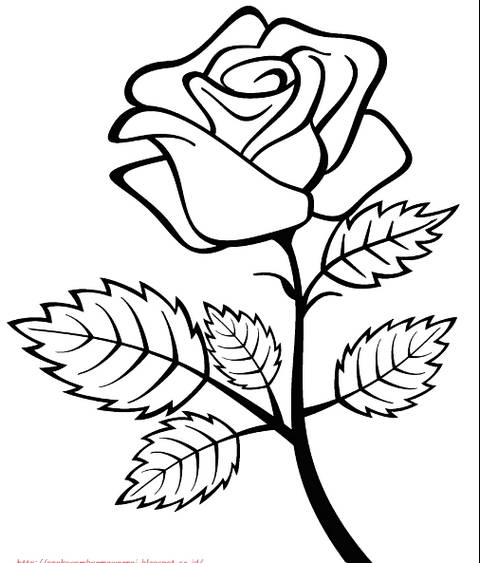 Detail Gambar Kartun Bunga Mawar Cantik Nomer 7