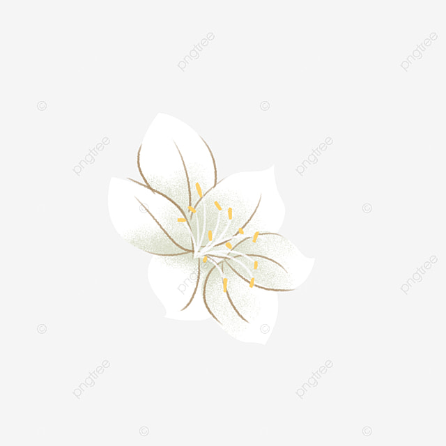 Detail Gambar Kartun Bunga Putih Nomer 15