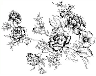 Detail Gambar Kartun Bunga Putih Nomer 42