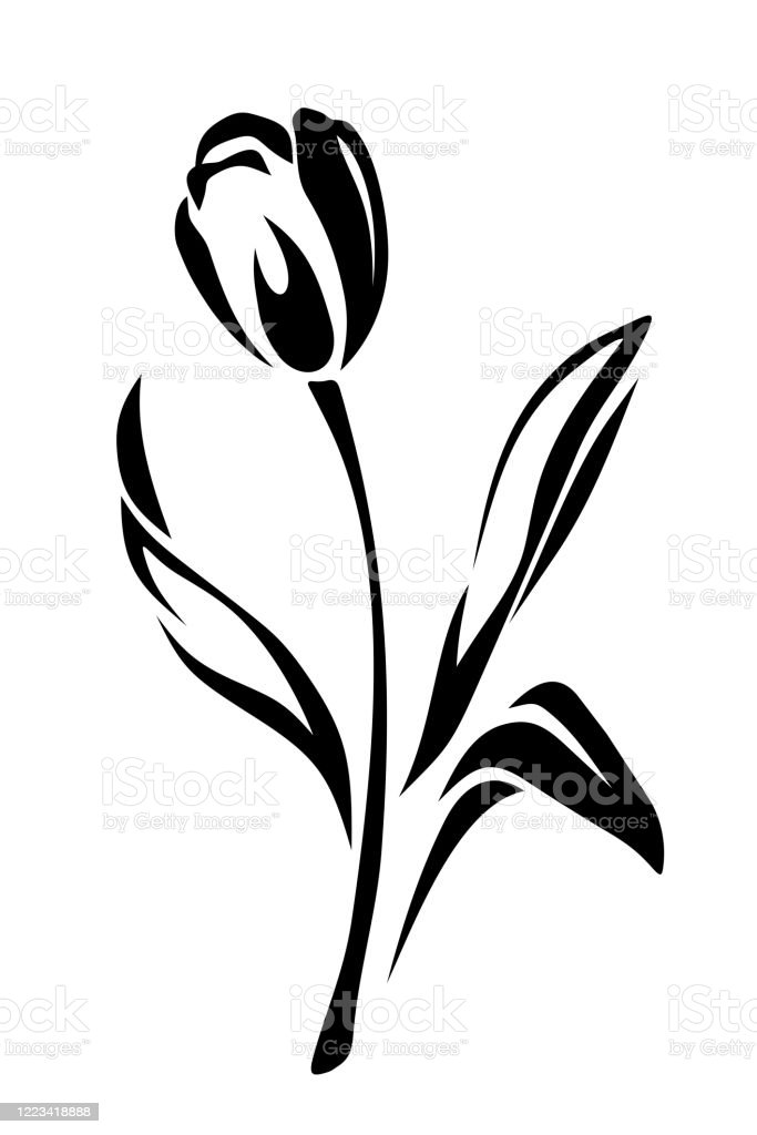 Detail Gambar Kartun Bunga Tulip Hitam Putih Nomer 26