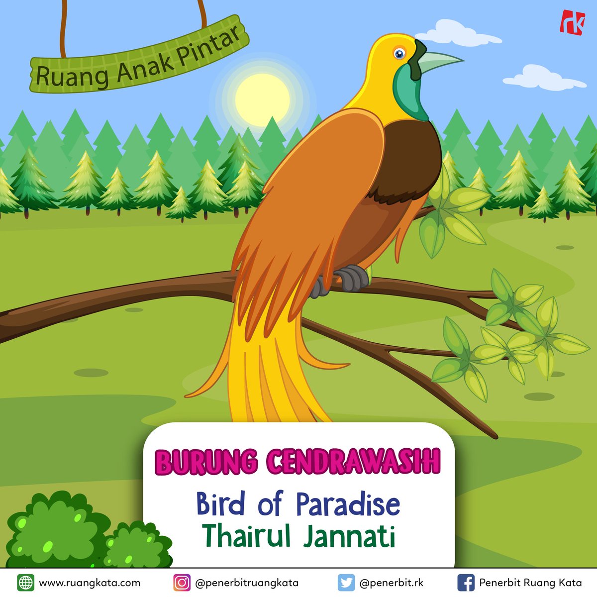 Detail Gambar Kartun Burung Cendrawasih Nomer 2