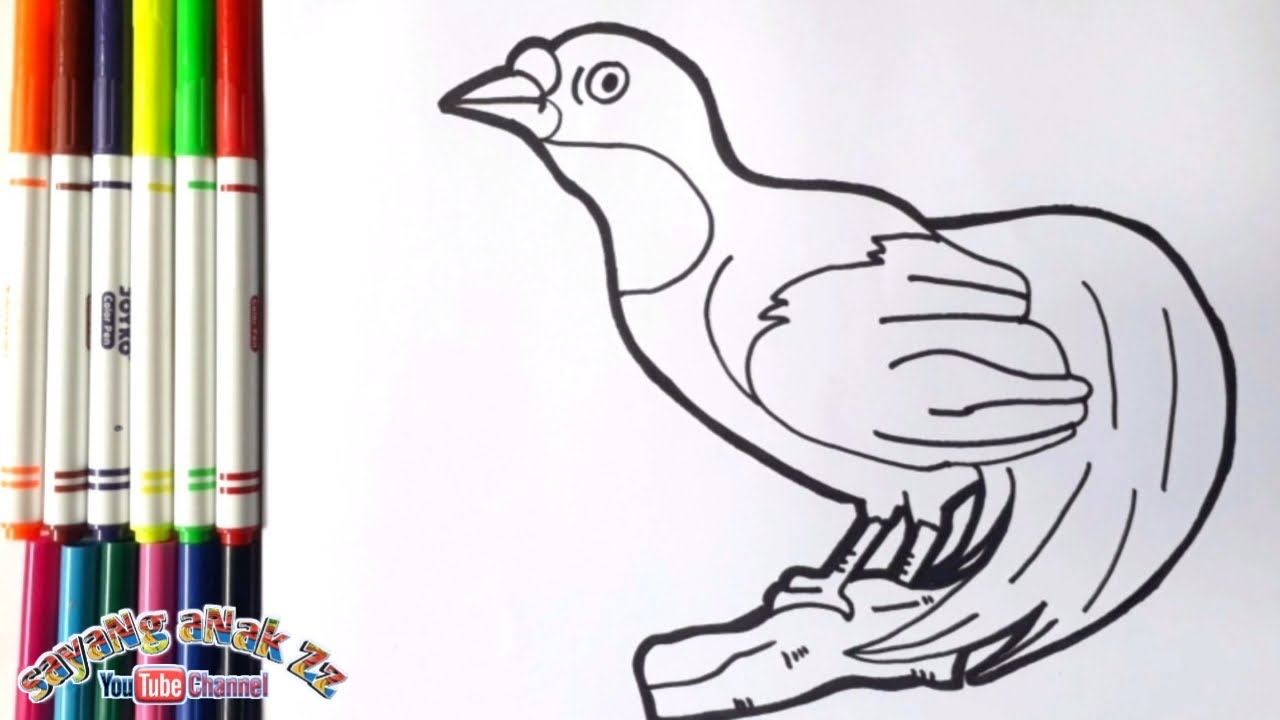 Detail Gambar Kartun Burung Cendrawasih Nomer 11