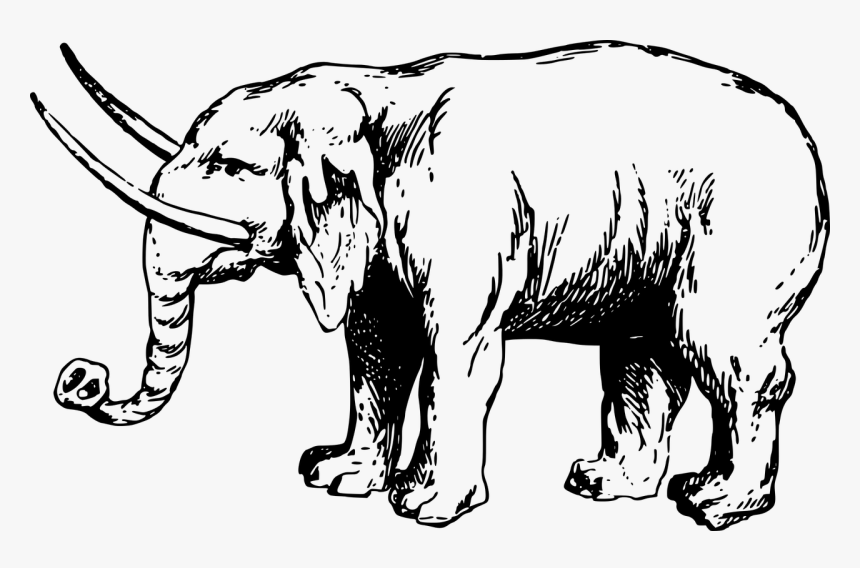 Detail Gambar Kartun Gajah Hitam Putih Nomer 32