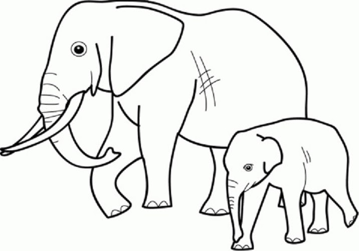 Detail Gambar Kartun Gajah Hitam Putih Nomer 8