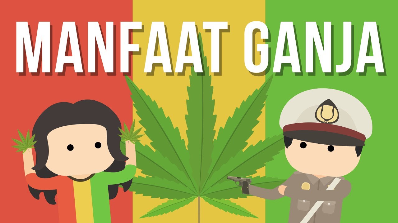 Detail Gambar Kartun Ganja Nomer 37