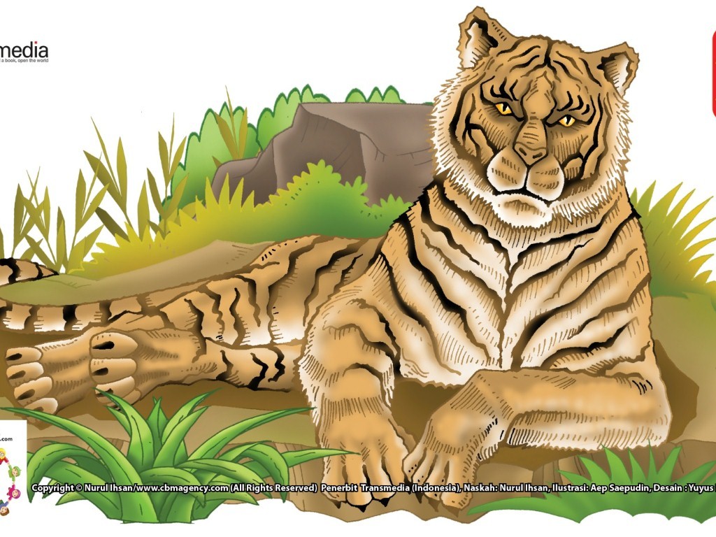 Gambar Kartun Harimau Memangsa - KibrisPDR