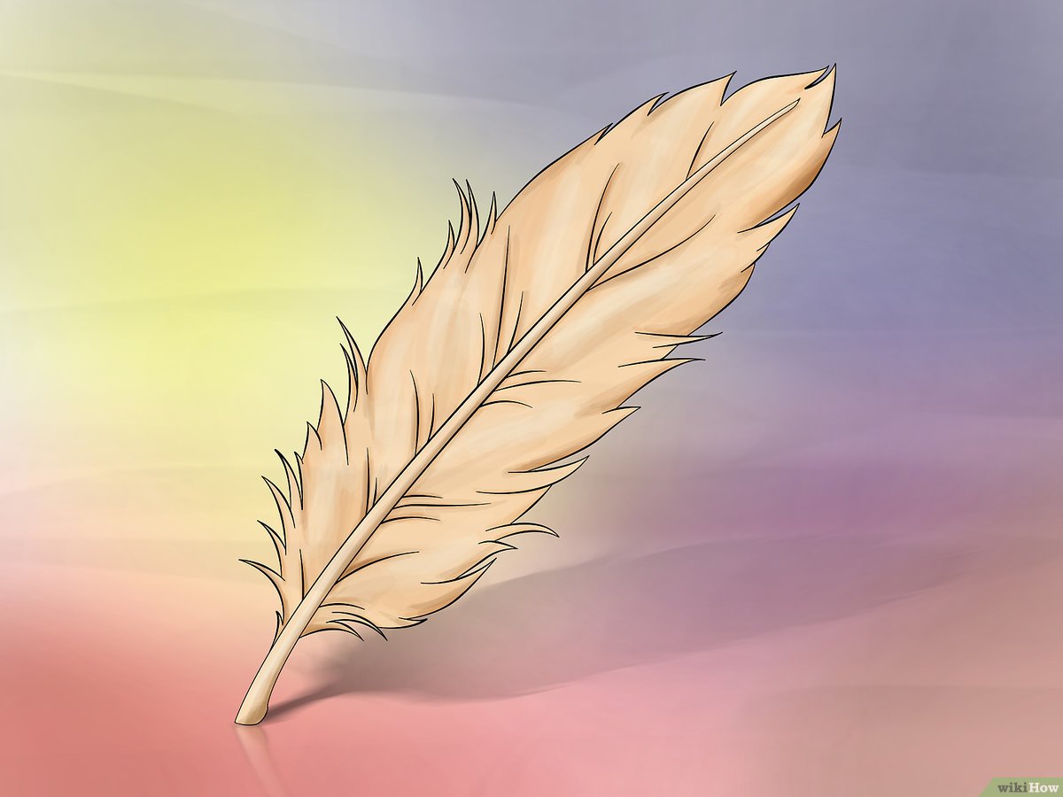 Detail Gambar Kartun Hiasan Pensil Dari Bulu Ayam Nomer 49