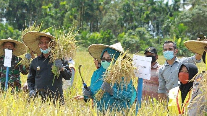 Detail Gambar Kartun Ibu Petani Memanen Padi Nomer 46