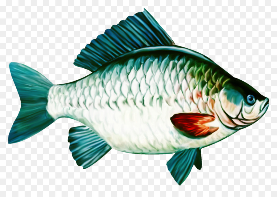 Detail Gambar Kartun Ikan Mas Nomer 36